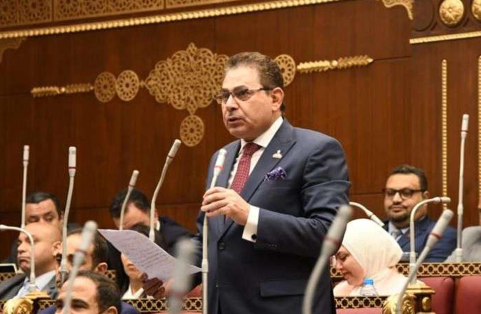 عضو مجلس الشيوخ: الأمن الغذائي قضية أمن قومي.. ويجب بناء منظومة زراعية صناعية متكاملة لمواجهة التحديات