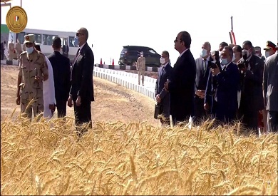 الرئيس السيسي يشهد فعاليات موسم حصاد القمح 2025 في مطروح الرئيس السيسي يشهد فعاليات موسم حصاد القمح 2025 في مطروح