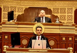 النائب أحمد سمير