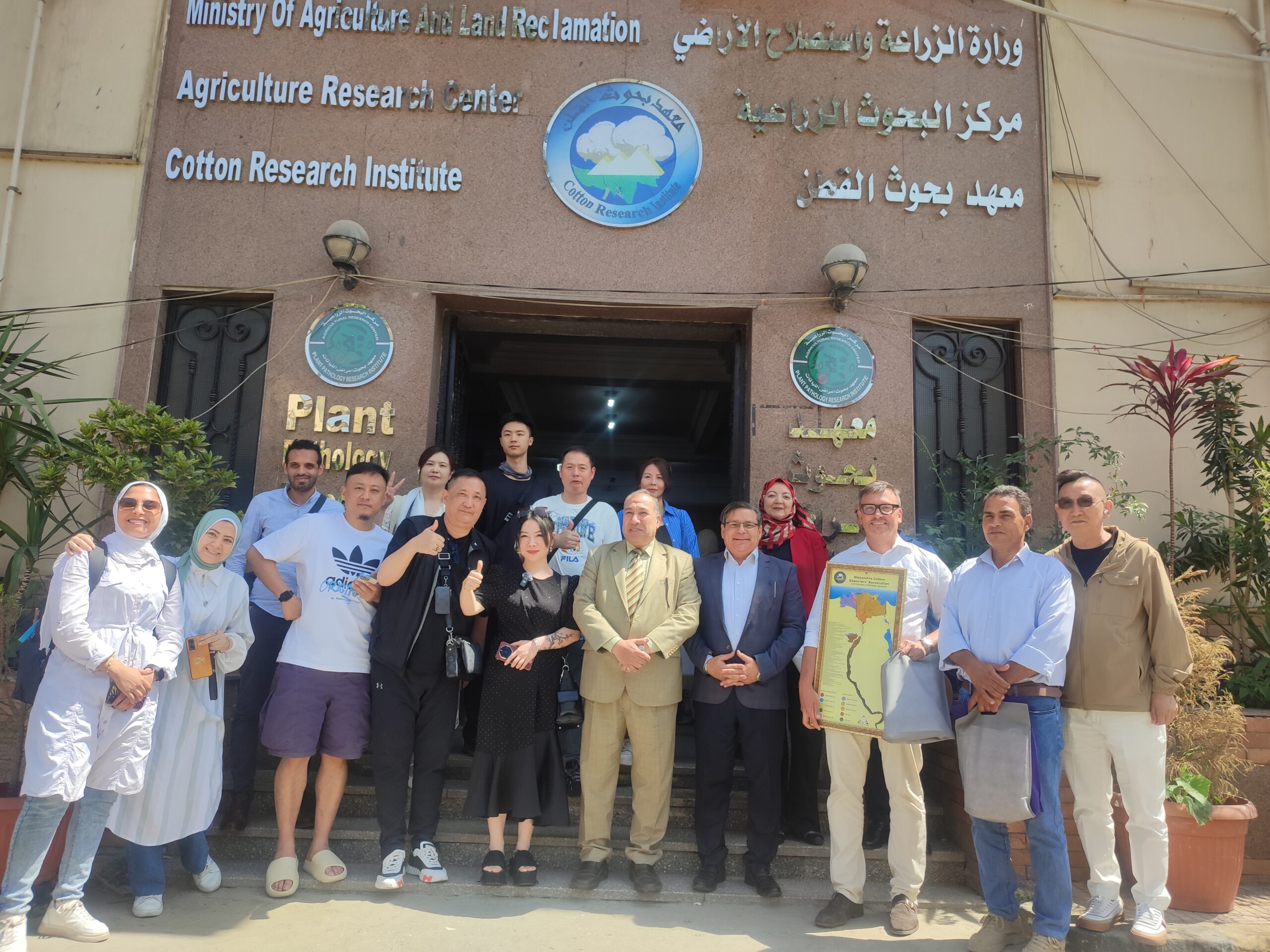 “من البذرة إلى الكسوة”.. استثمارات صينية مرتقبة في القطن المصري “من البذرة إلى الكسوة”.. استثمارات صينية مرتقبة في القطن المصري