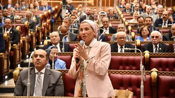 رئيس الشيوخ مُهنئا وزير البيئة: تولي منصبِ السكرتيرِ التنفيذيِّ لاتفاقيةِ الأممِ المتحدةِ شهادةٌ عالميةٌ بمكانةِ مصرَ الرياديةِ