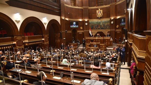 البيئة في صدارة المناقشات.. الشيوخ يفتح ملفات التصحر والمناخ والاقتصاد الأزرق بحضور ياسمين فؤاد