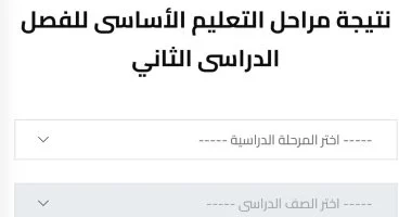 نتائج طلاب صفوف النقل الترم الثانى 2025 بالرقم القومى فى الجيزة نتائج طلاب صفوف النقل الترم الثانى 2025 بالرقم القومى فى الجيزة
