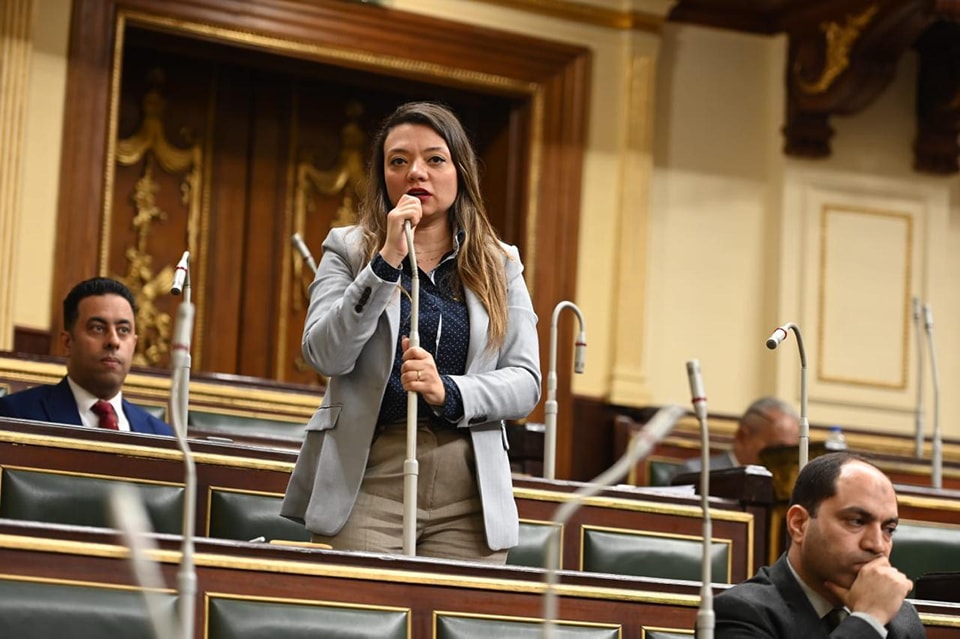 مي كرم جبر: أوافق على تغليظ عقوبة حفر الآبار بدون ترخيص.. ولا بد من مواجهة جمعيات النصب