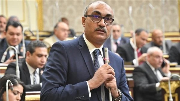 إيهاب منصور: حذف نقابة المهن الرياضية مخالف للدستور ويهدر حق أولادنا في الرياضة