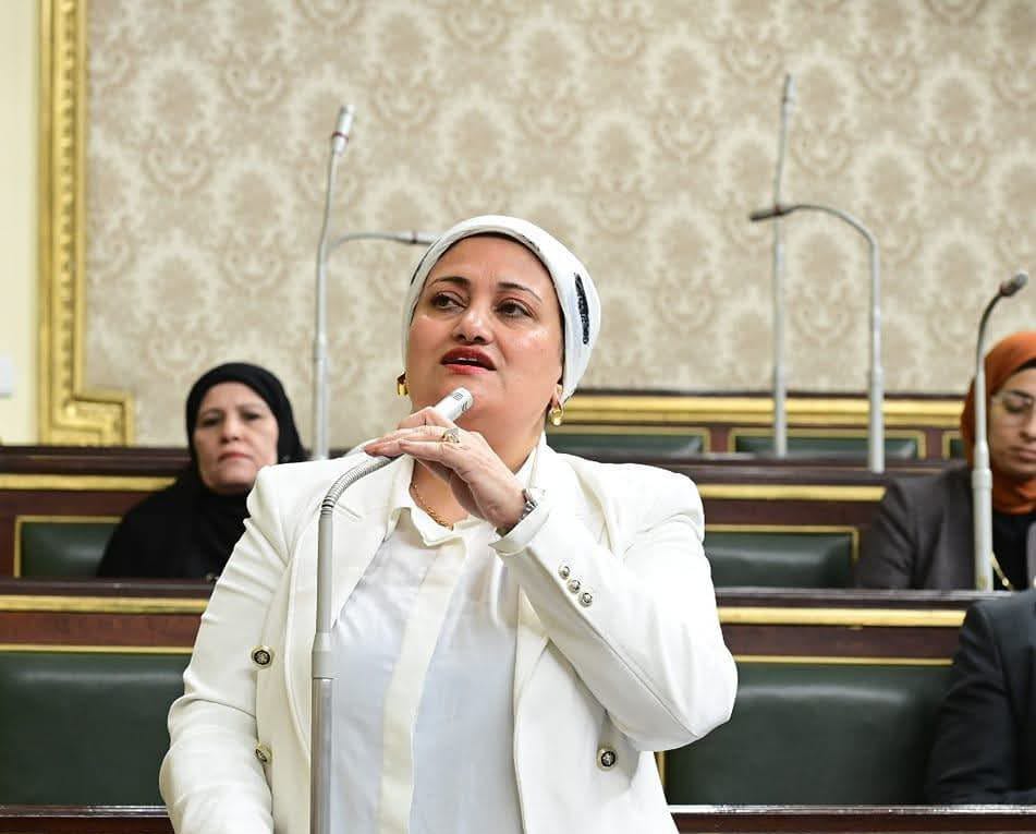 النائبة سناء السعيد ترفض تعديلات قانون الضريبة العقارية 2024 وتطالب بإعفاء السكن الخاص