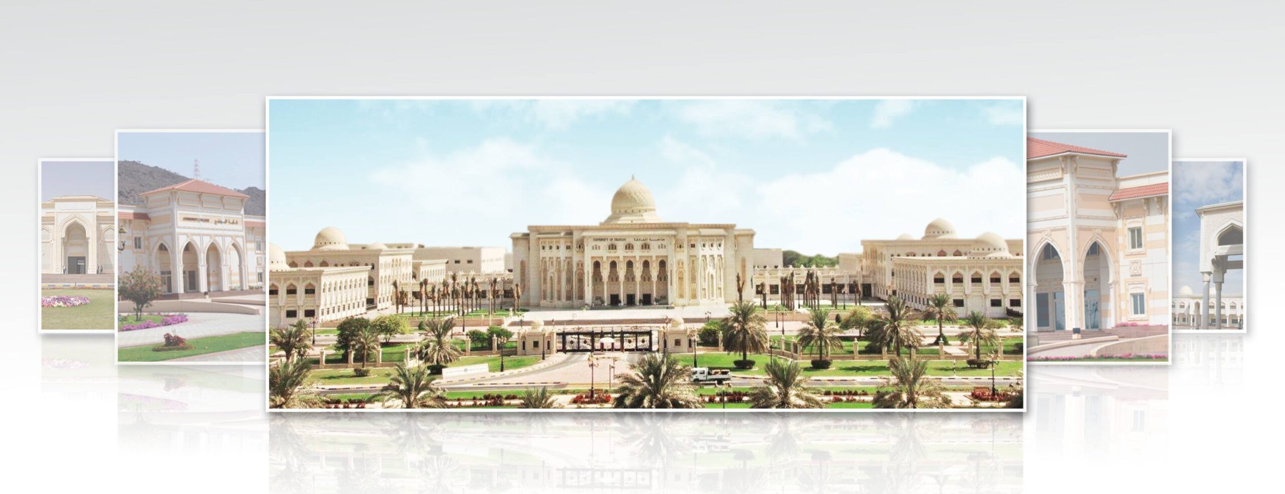 وظائف جامعة الشارقة 2025