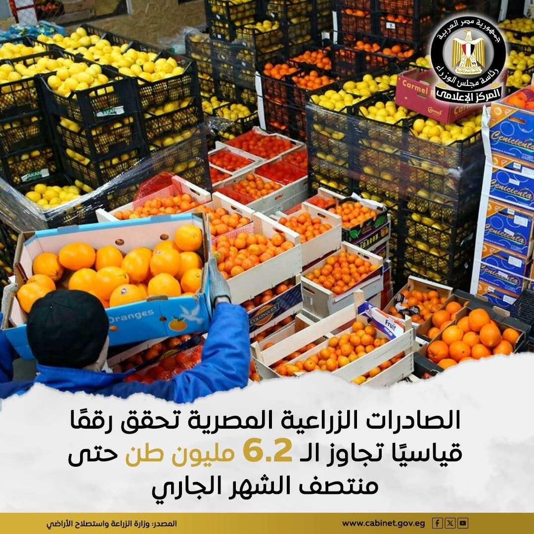 تجاوز الـ 6.2 مليون طن، الصادرات الزراعية المصرية تحقق رقمًا قياسيًا جديدا