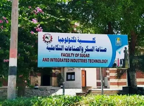 أول كلية من نوعها..كلية لتعليم صناعة السكر في مصر