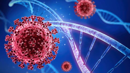 لا يمثل أي خطورة.. «الصحة»: متحور “ستراتوس” مجرد إنفلونزا عادية لا يمثل أي خطورة.. «الصحة»: متحور “ستراتوس” مجرد إنفلونزا عادية