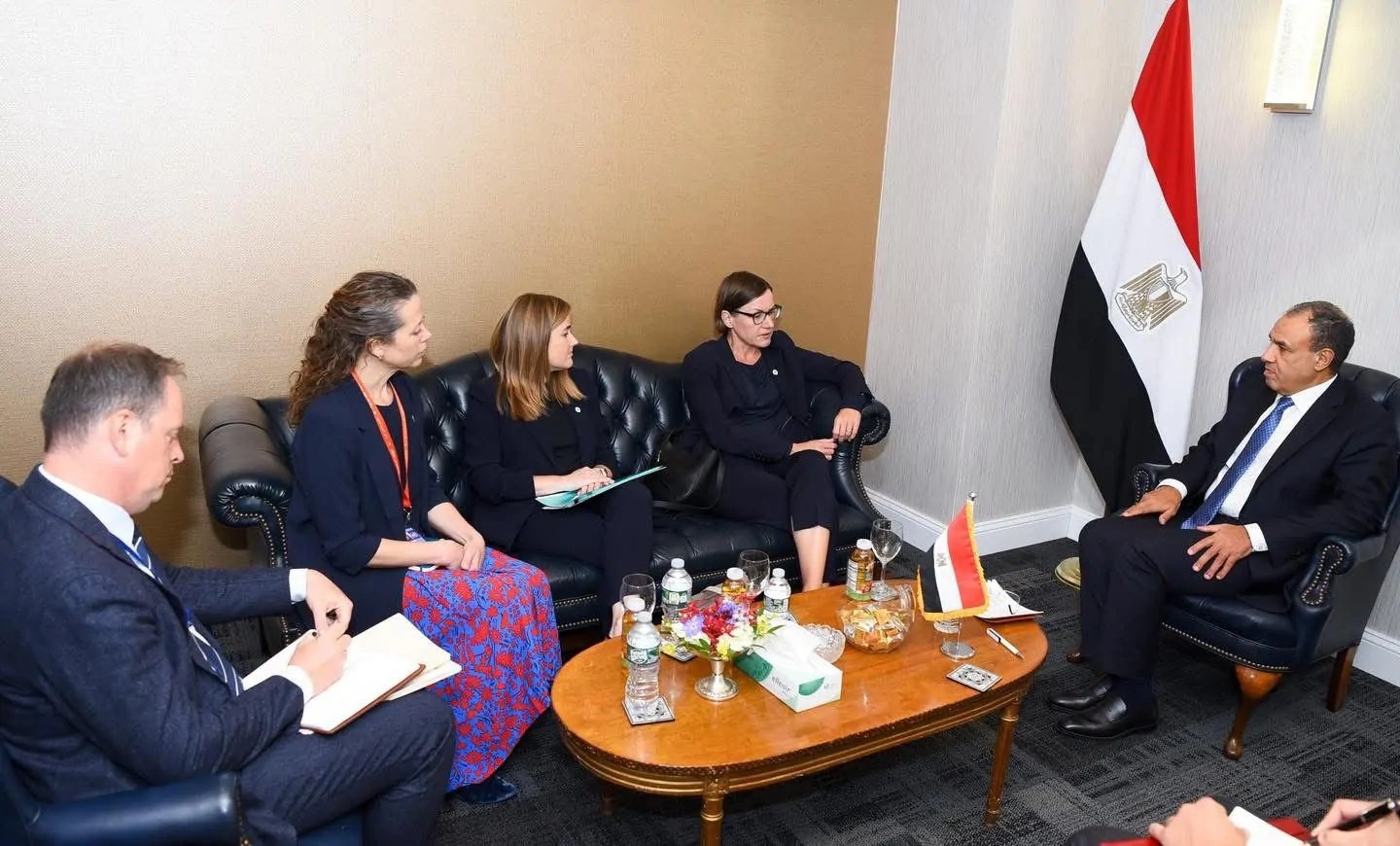 وزير الخارجية يستعرض جهود مصر لوقف الحرب على غزة وزير الخارجية يستعرض جهود مصر لوقف الحرب على غزة