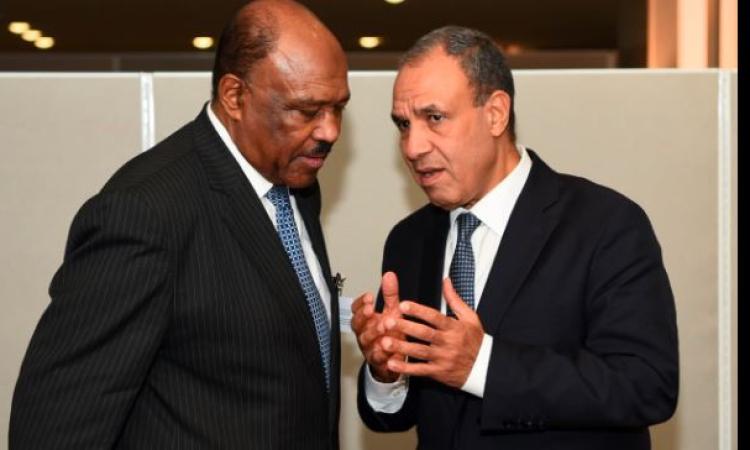 وزير الخارجية يؤكد موقف مصر الثابت الداعم لأمن واستقرار ووحدة السودان