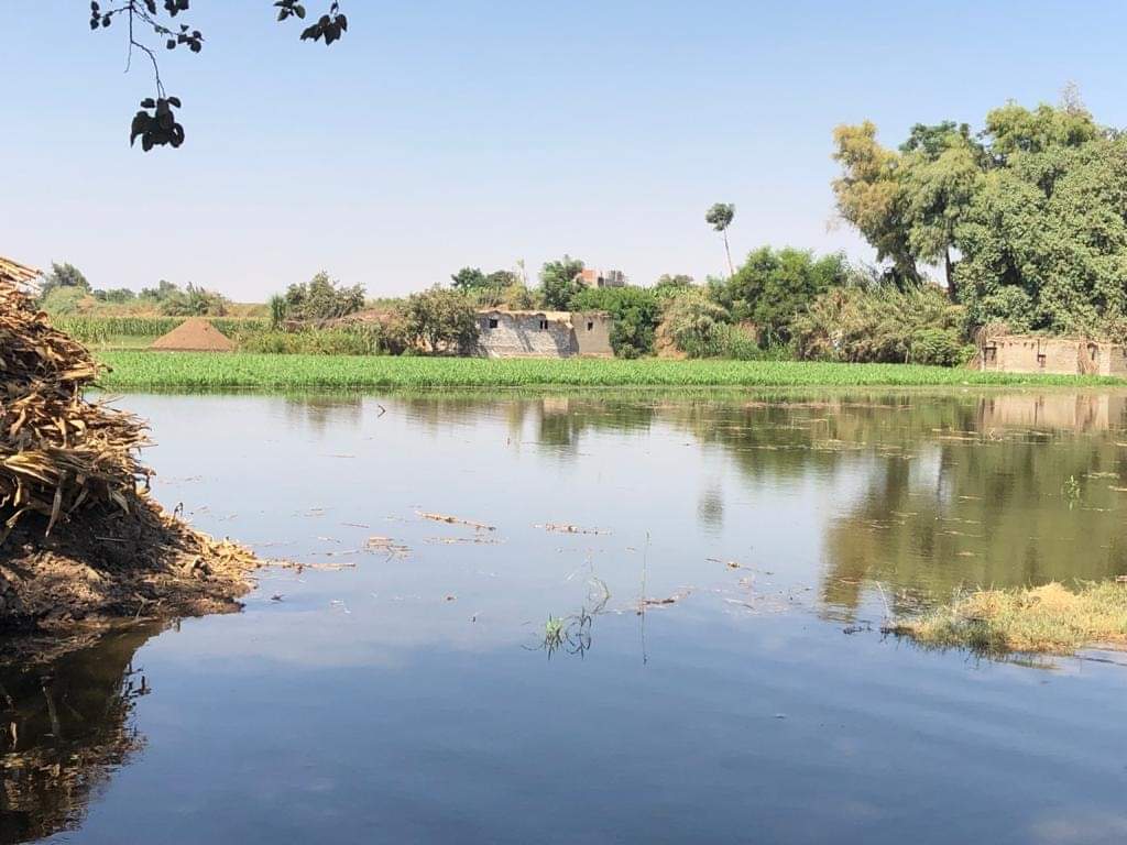 بالمنوفية.. تحذير عاجل لإخلاء أراضى طرح النهر فى أشمون بالمنوفية.. تحذير عاجل لإخلاء أراضى طرح النهر فى أشمون