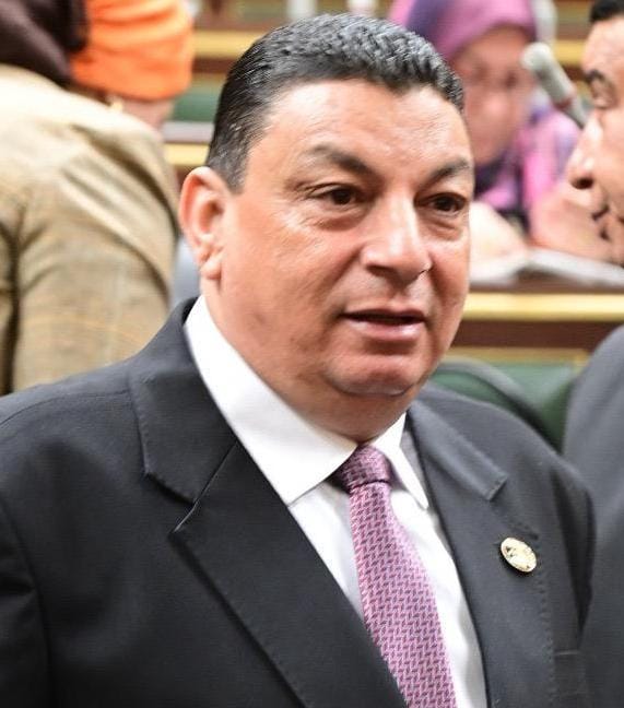 سامي نصر الله: مصر تقود جهود وقف إطلاق النار في غزة وتضمن تدفق المساعدات الإنسانية