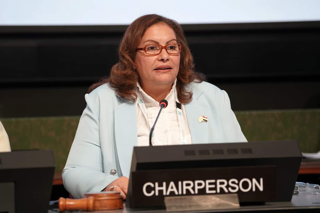 الدكتورة عايدة نصيف: التحرك الإسرائيلي تجاه «صوماليلاند» خطوة تهدد استقرار القرن الإفريقي الدكتورة عايدة نصيف: التحرك الإسرائيلي تجاه «صوماليلاند» خطوة تهدد استقرار القرن الإفريقي