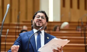 النائب أحمد البرلسي