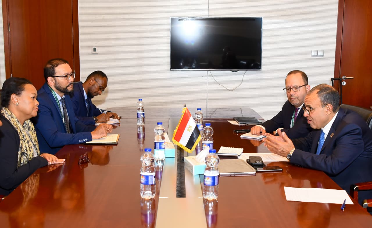 وزير الخارجية يبحث مع مديرة الآلية الأفريقية لمراجعة النظراء دعم الإصلاح المؤسسي