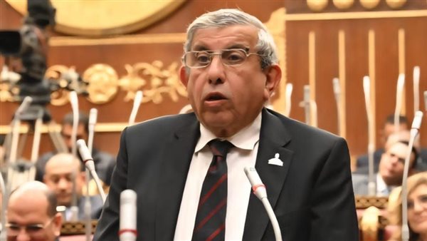 النائب علاء عبدالنبي: زيادة الوقود قد ترفع أسعار السلع 15%.. والحكومة مطالبة بضبط الأسواق | خاص