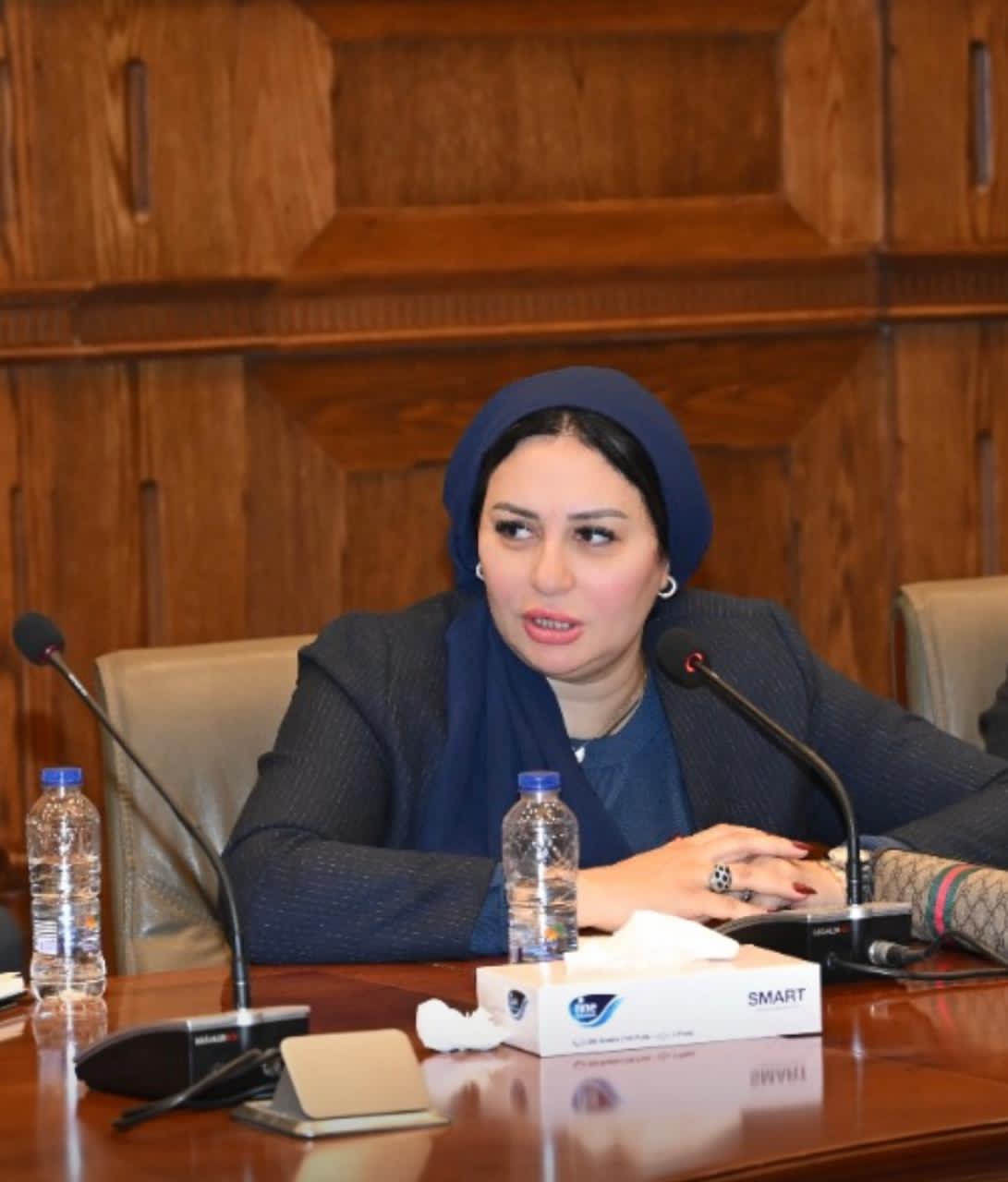 نائبة بالشيوخ تتقدم باقتراح برغبة لتعديل قانون الرؤية: ضرورة إلزام الأم بتنفيذ الأحكام وتوفير بيئة مناسبة للأطفال