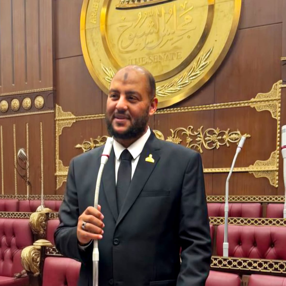 “زين العابدين” نائب”النور”: ضعف تنفيذ قانون حماية المنافسة وراء فوضى الأسعار.. ويطالب الحكومة بمراقبة تطبيق القوانين