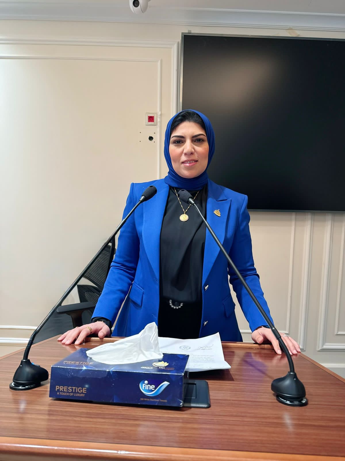 نهال أبو وافية: مشروع قانون الإدارة المحلية المقدم من الحكومة لا يواكب متطلبات المرحلة