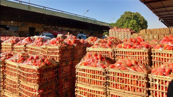 الطماطم بكام؟ .. أسعار الخضار اليوم الثلاثاء بسوق العبور