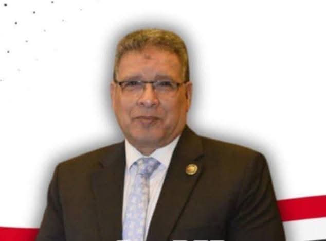 النائب عصام العمدة: مصر تواصل جهودها لحماية ورعاية أبنائها في الخارج
