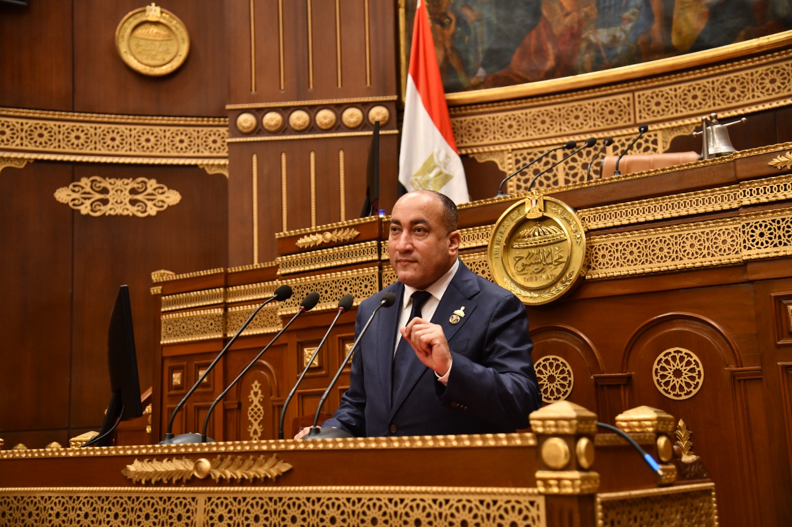 النائب عمرو رشاد: لابد من تحقيق توازن بين متطلبات الاستدامة المالية لقانون التأمينات الاجتماعية واعتبارات العدالة الاجتماعية