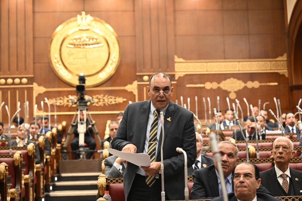 النائب رجائي عزت يطالب برفع مخصصات الصحة في الموازنة الجديدة لتحقيق العدالة العلاجية