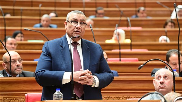 سالم يطالب بتفسير النزاعات الضريبية: مؤشرات جيدة لكن التنفيذ بحاجة مراجعة