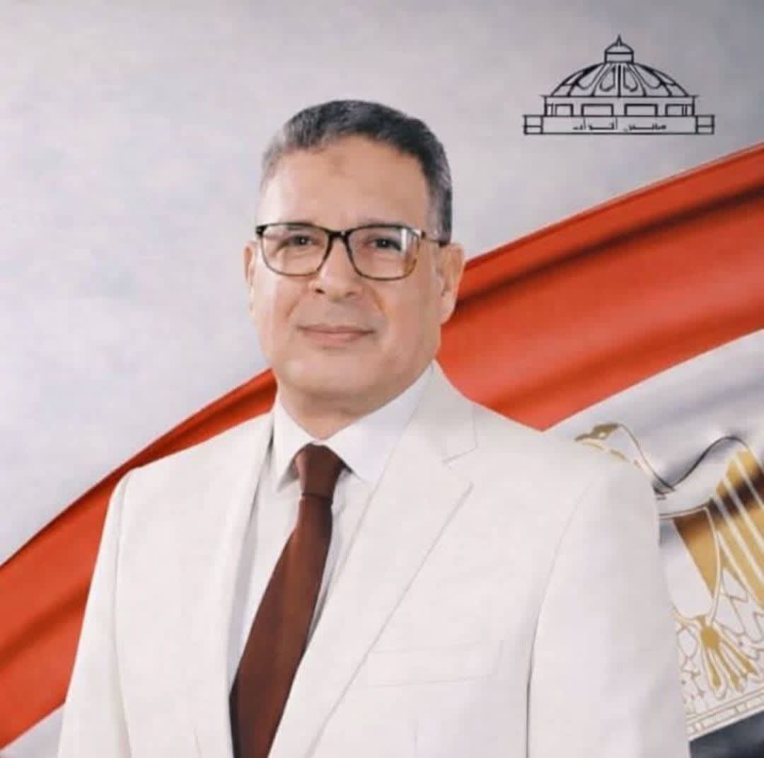 النائب عصام العمدة يطالب بإلغاء تسعير الكهرباء الموحد للعدادات الكودية