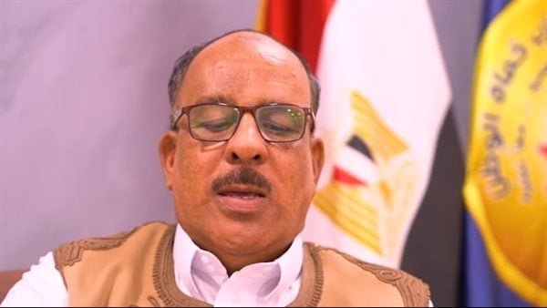 النائب محمد الجراري: مشاركة السيسي في قمة أفريقيا ـ فرنسا تعزز مكانة مصر كشريك رئيسي في دعم التنمية بالقارة