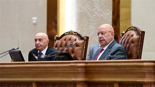 عقيلة صالح من البرلمان المصري: العلاقات بين مصر وليبيا تاريخية.. والقاهرة سند ثابت لوحدة الدولة الليبية