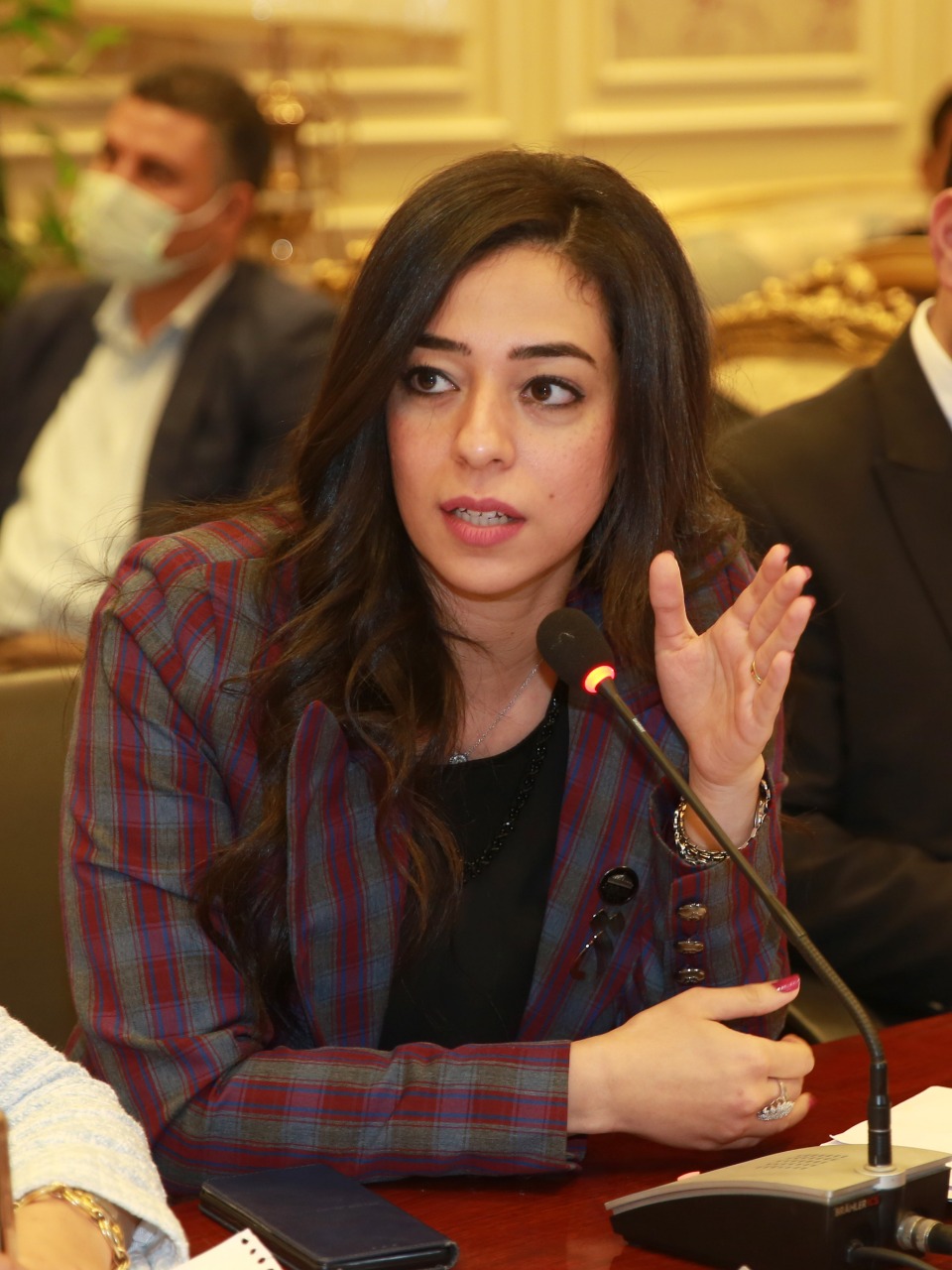 النائبة سوسن حافظ: نحتاج لقانون أحوال شخصية عادل وناجز يضع مصلحة الطفل واستقرار الأسرة المصرية فوق كل اعتبار
