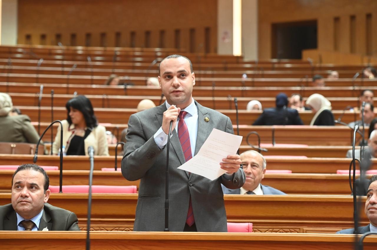 النائب أنس هلول: موافقة الحكومة على طلب نواب «مستقبل وطن» بإنشاء حواجز حماية بترعة المريوطية خطوة مهمة لحماية الأرواح ومنع تكرار الحوادث المأساوية