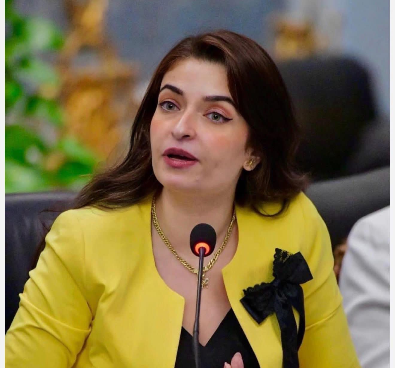 «فين وزارة الشباب والرياضة؟».. النائبة إيرين سعيد تتقدم بطلب إحاطة بشأن اتحاد السباحة واللجنة الأولمبية