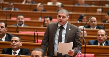 “إسكان النواب” تناقش طلبات إحاطة للنائب أحمد جبيلي لحل مشاكل الطرق ونقص الخدمات بحدائق أكتوبر