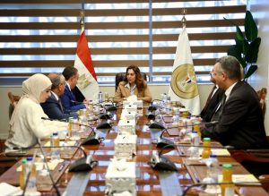 نقيب المهندسين والوكيل والأمين العام يلتقون وزيرة التنمية المحلية لبحث تعزيز التعاون المشترك جانب من اللقاء