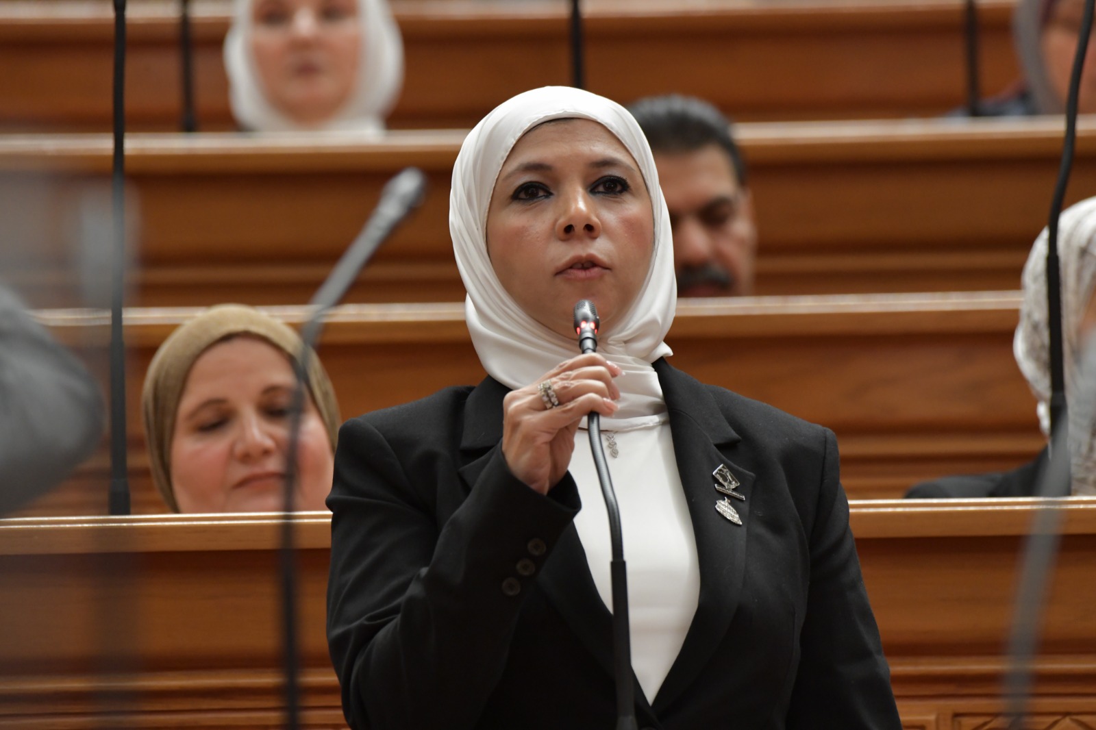 النائبة مريم العزب: الثالث من يوليو أنقذ الدولة وأطلق مسيرة التنمية والإنتاج