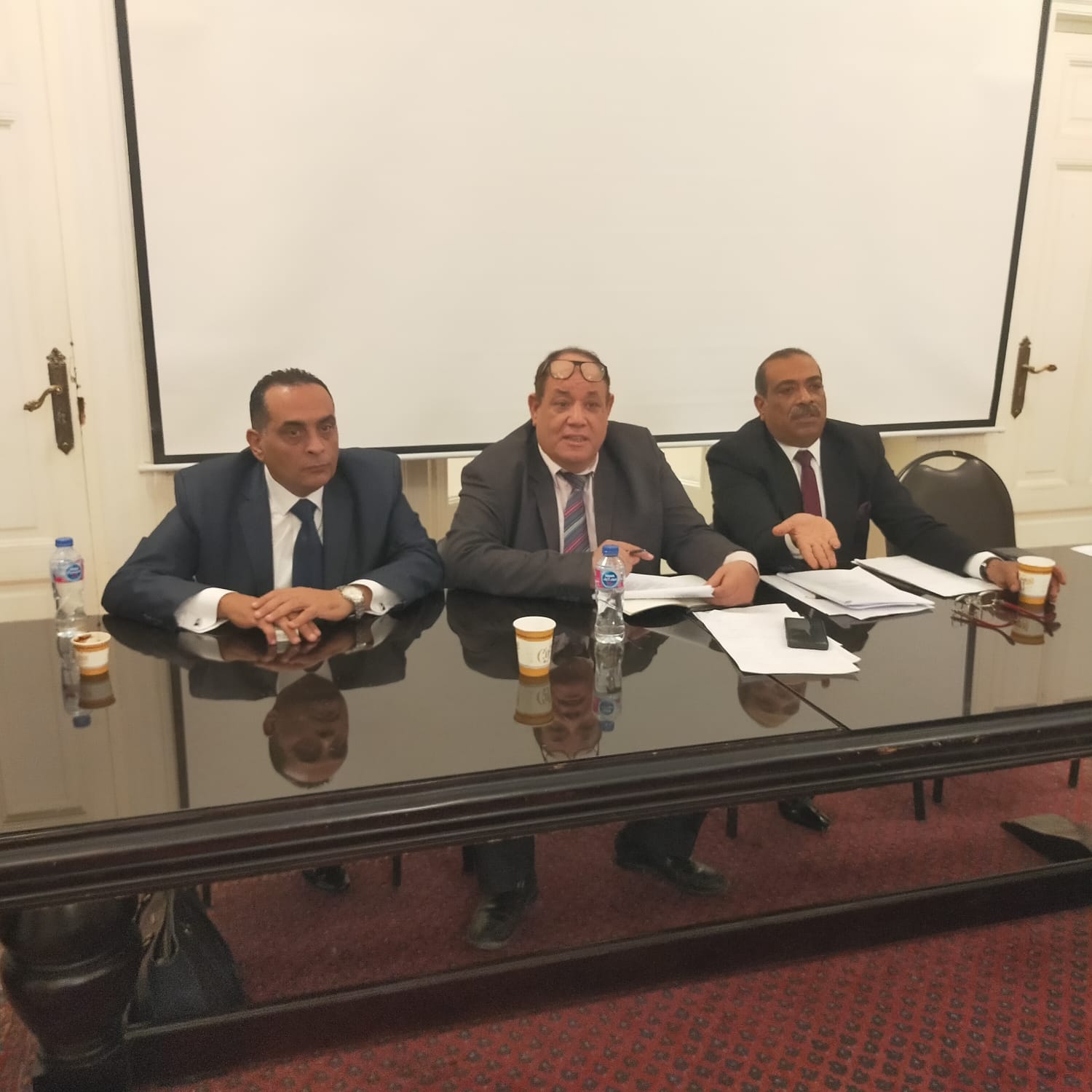 “مواطنة الوفد” تشيد بالجهود الأمنية فى وقف أعمال شغب “التل القبلية” بالمنيا