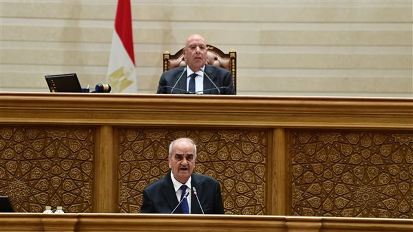 رئيس تشريعية النواب: إعادة تنظيم جهاز مستقبل مصر خطوة جديدة لتعزيز التنمية وجذب الاستثمارات رئيس تشريعية النواب: إعادة تنظيم جهاز مستقبل مصر خطوة جديدة لتعزيز التنمية وجذب الاستثمارات