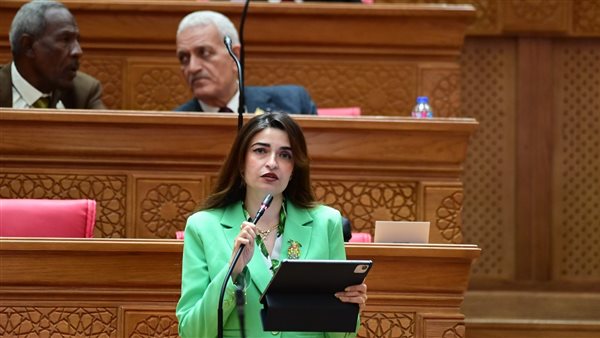 إيرين سعيد: عدّلنا مشروع قانون جهاز مستقبل مصر.. وأطالب بضمان الحياد التنافسي وحماية المنافسة إيرين سعيد: عدّلنا مشروع قانون جهاز مستقبل مصر.. وأطالب بضمان الحياد التنافسي وحماية المنافسة