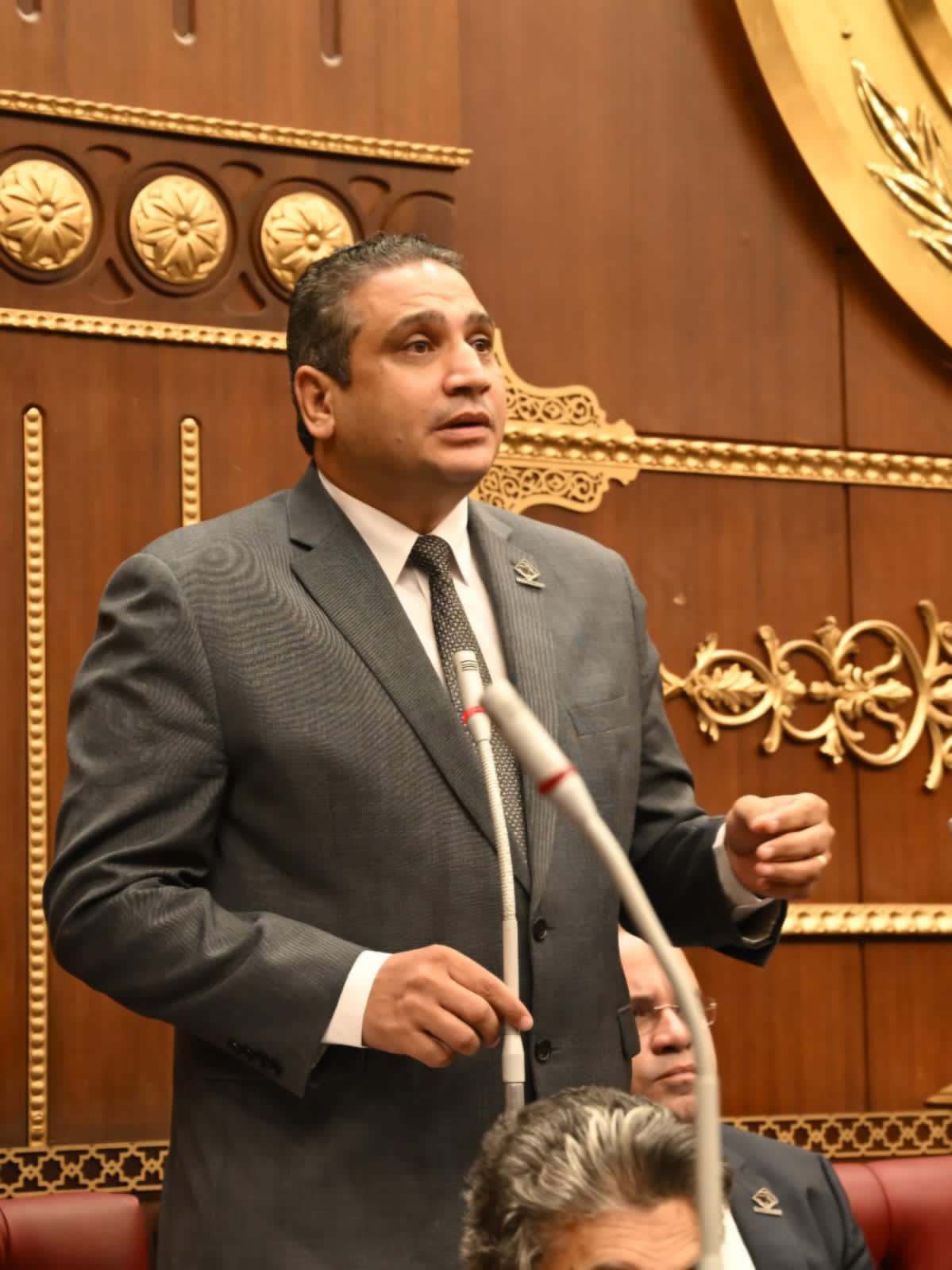 النائب عماد خليل يعلن دعمه لتفعيل حق الأداء العلني: خطوة ضرورية لحماية الملكية الفكرية وحق الفنانين