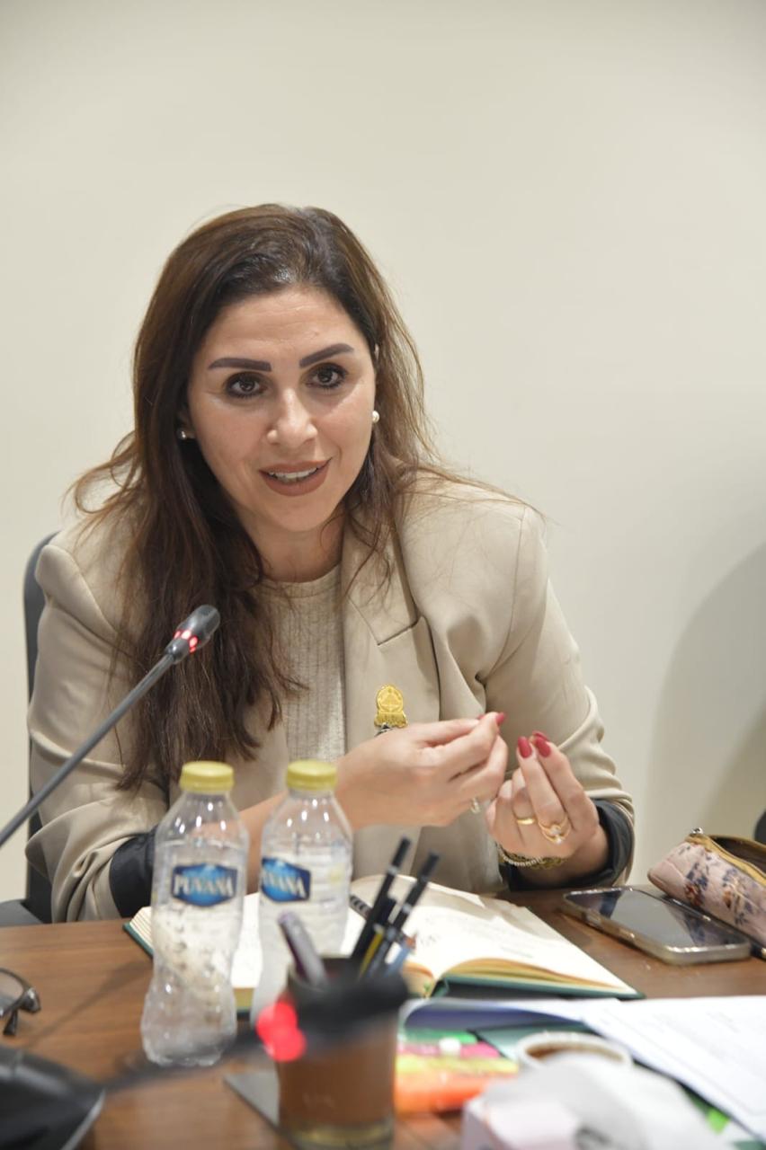 النائبه انجى مراد اعتادنا من الدولة المصرية ان يكون لها دور عظيم في السعي و بقوة نحو ترسيخ السلام و حماية حقوق الانسان