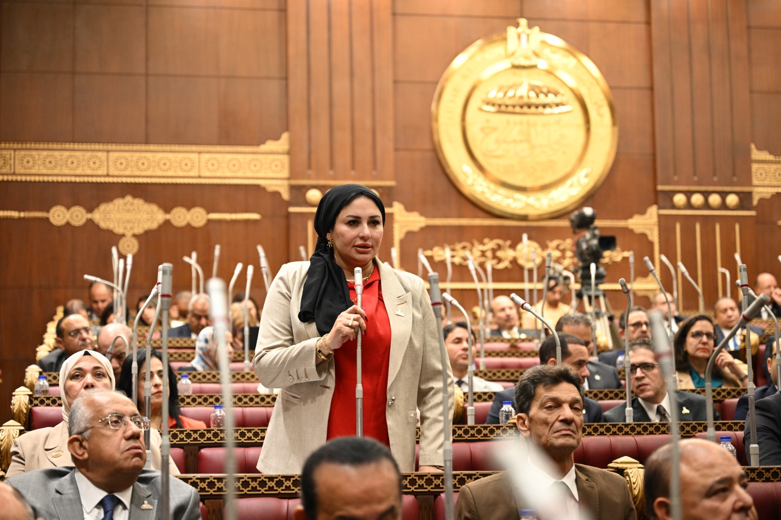 النائبة شيرين صبري: توجيهات الرئيس بسرعة تنفيذ أحكام النفقات تجسد الانحياز للعدالة.. وتحسم معاناة أسر تنتظر حقوقها
