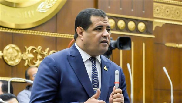 عضو بالشيوخ : زيارة الرئيس الصيني لمصر تؤكد متانة العلاقات التاريخية وتعزز فرص الاستثمار والتعاون الاقتصادي