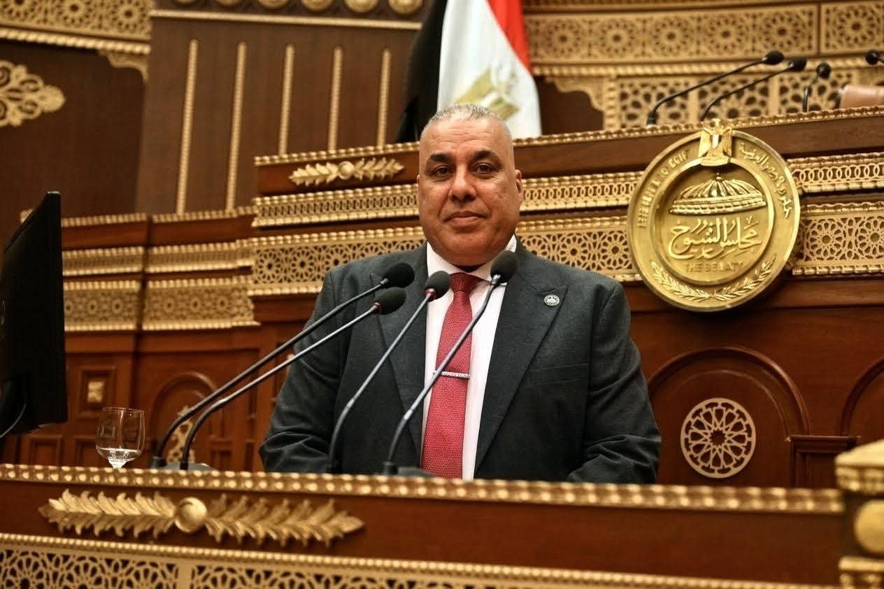النائب محمد أبو النصر: الجولة الآسيوية للرئيس السيسي تفتح مسارات جديدة للتعاون الاقتصادي والاستثماري وتعزز قدرة الاقتصاد الوطني