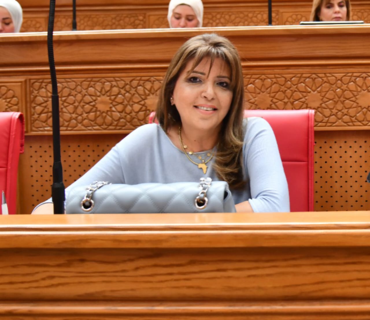 عقب اختيارها نائبًا لرئيس الهيئة البرلمانية للجبهة الوطنية.. داليا السعدني: تكليف أعتز به ومسؤولية لخدمة المواطن