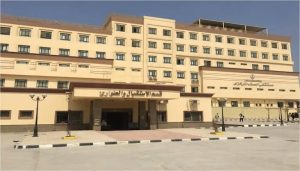 أهالي الصف يستغيثون بوكيل وزارة الصحة بالجيزة: مستشفى الصف المركزي بلا مصل مضاد للسعار.. و500 ألف مواطن يواجهون خطر الكلاب الضالة